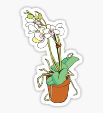 Orchidee Sticker