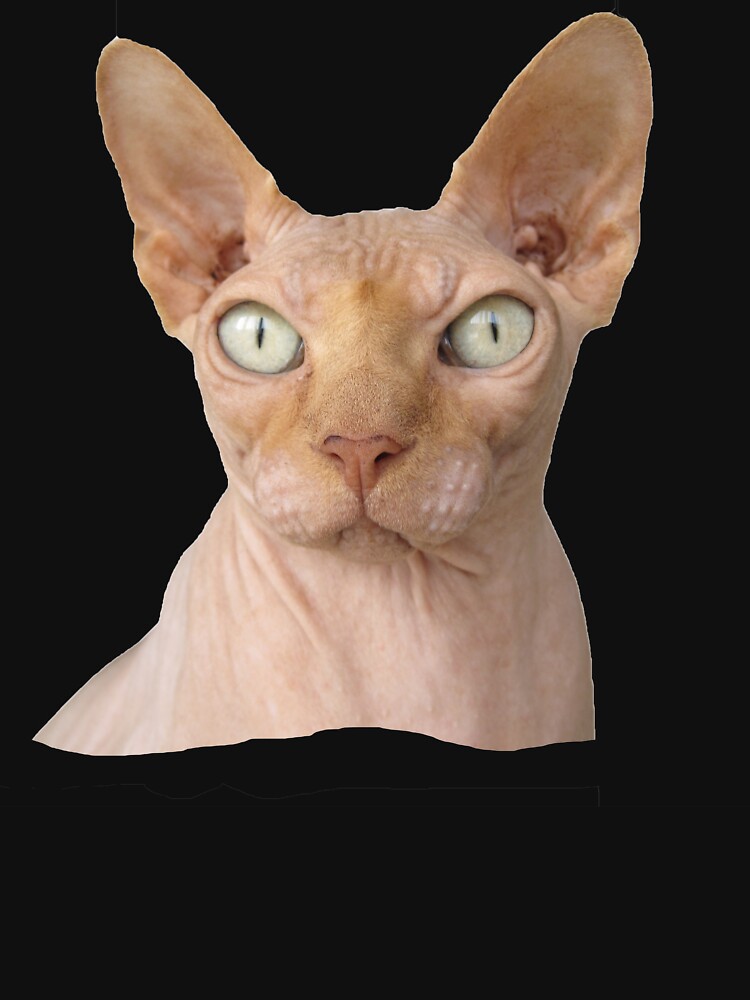 Hairless Cat Face T-Shirt