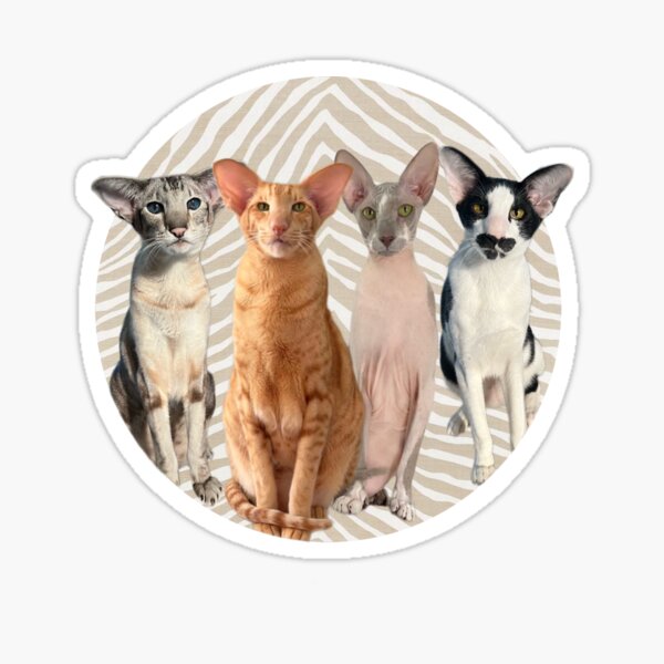 Item preview, Squad Tan Print designed and sold by Hautecatture.