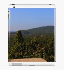 Landscape iPad Case/Skin