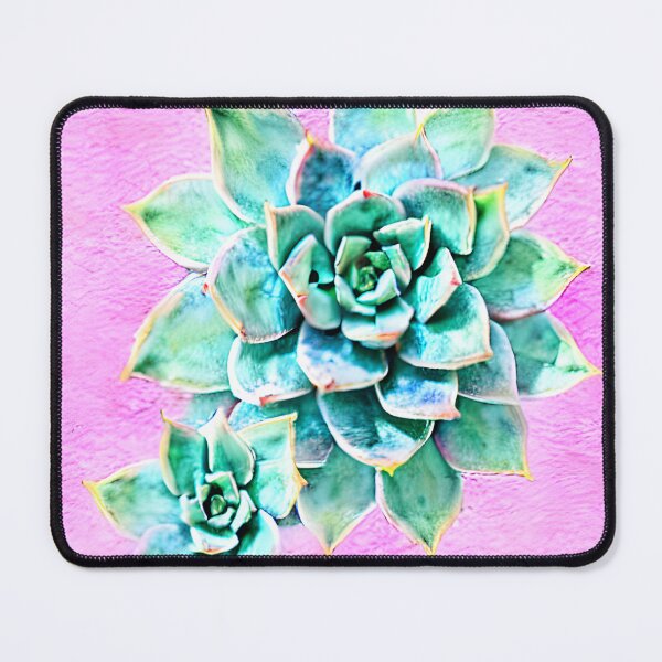 Item preview, Beautiful Pastel Succulents on Pink Background designed and sold by WallabyJelly.