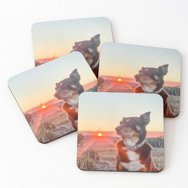 Item preview, Sunstruck Kelpie designed and sold by Penny Kittel.