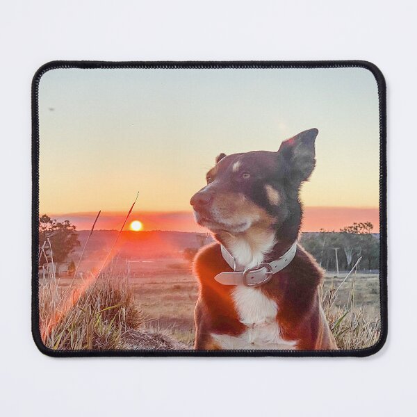 Item preview, Sunstruck Kelpie designed and sold by Penny Kittel.