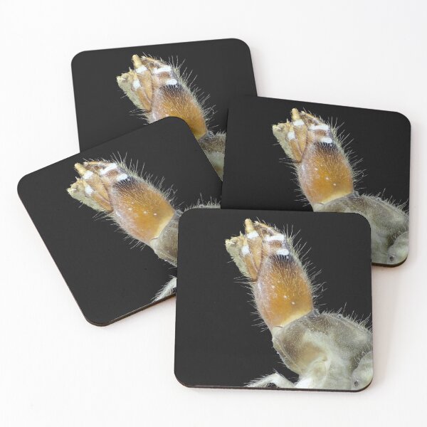 Item preview, Insect larva under the microscope designed and sold by SDym Photography.