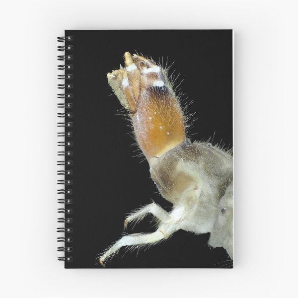 Item preview, Insect larva under the microscope designed and sold by SDym Photography.