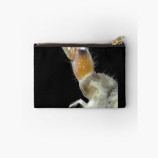 Item preview, Insect larva under the microscope designed and sold by SDym Photography.