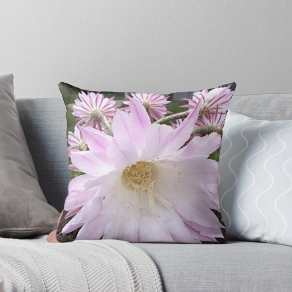 Item preview, Transient beauty designed and sold by voelzis.