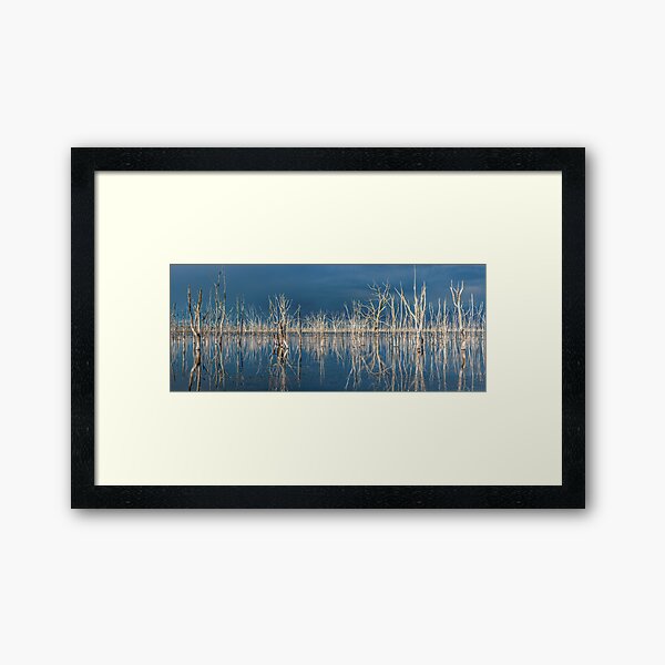 Ghost trees - Lake Toolondo panorama Framed Art Print