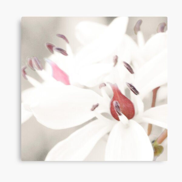 Pastel Milkmaids Canvas Print