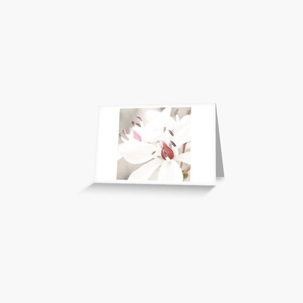 Pastel Milkmaids Greeting Card