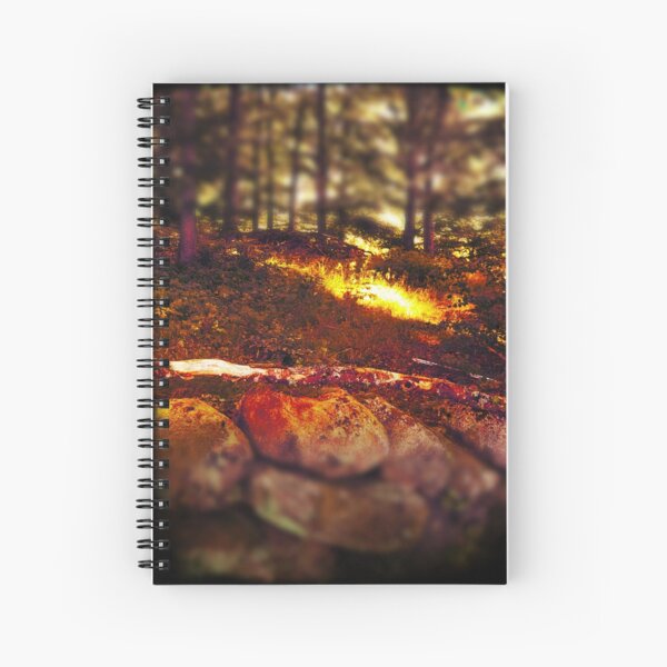 A silent glad in summerlight Spiral Notebook