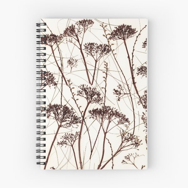 Item preview, Dried flowers designed and sold by assaf.