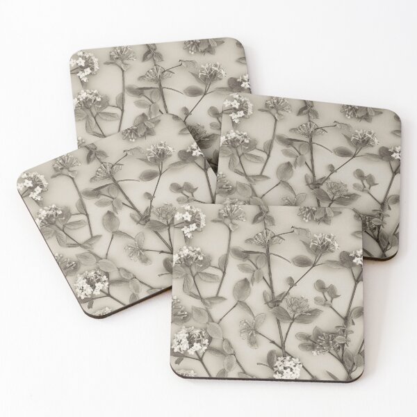 Item preview, Viburnum Juddii Flowers designed and sold by assaf.