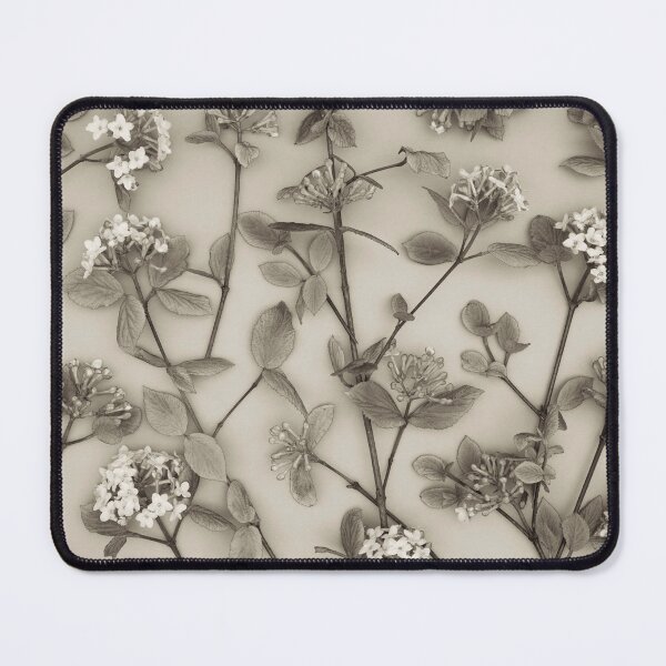 Item preview, Viburnum Juddii Flowers designed and sold by assaf.
