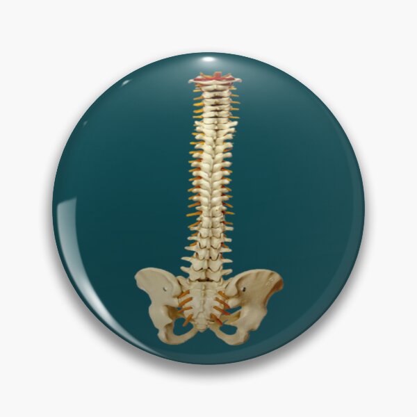 Item preview, anatomy puns designed and sold by CreoRealities.