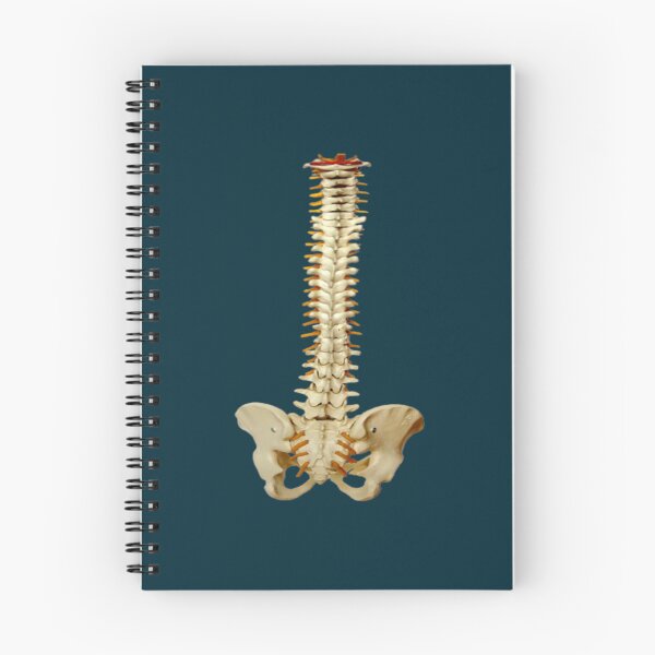 Item preview, anatomy puns designed and sold by CreoRealities.