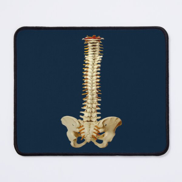 Item preview, anatomy puns designed and sold by CreoRealities.