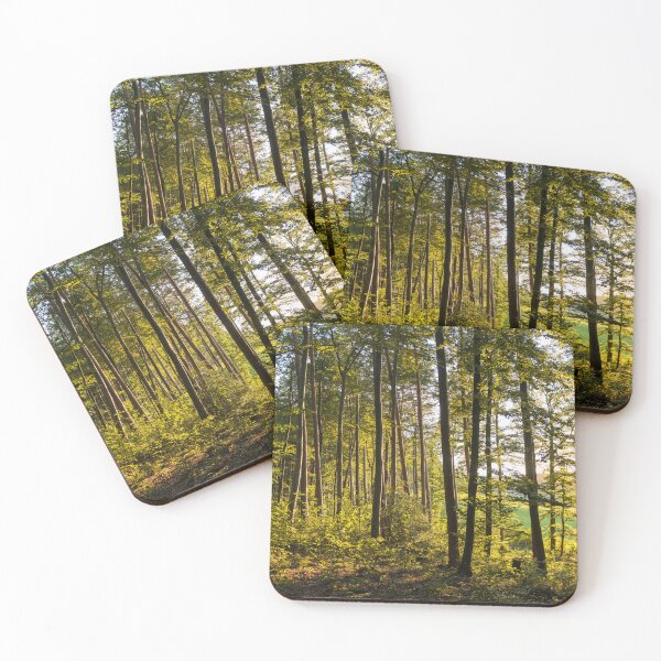Item preview, Sunlight in green forest designed and sold by StohlerPhotos.