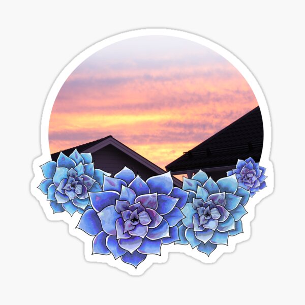 Sunsets in Sweden Sticker