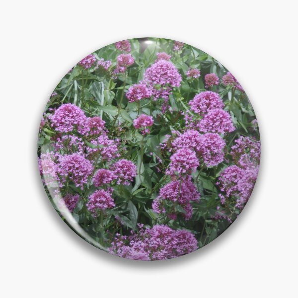 Item preview, Purple Valerian designed and sold by lezvee.