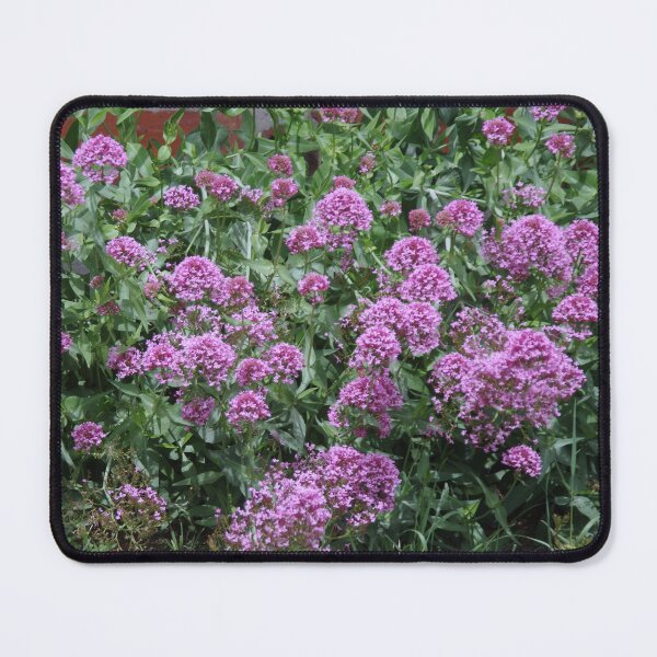 Item preview, Purple Valerian designed and sold by lezvee.