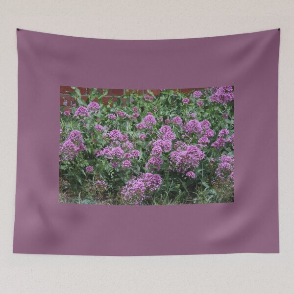 Item preview, Purple Valerian designed and sold by lezvee.