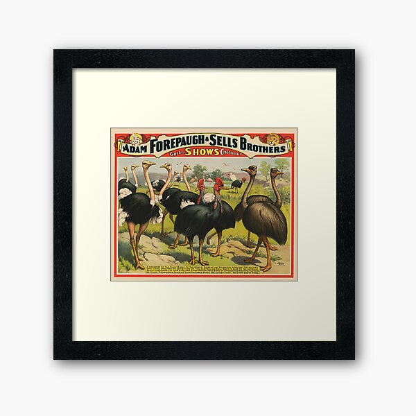 Item preview, STK501790A-Vintage circus poster showing ostriches and other large birds. designed and sold by StocktrekImages.