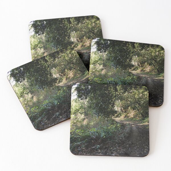 Item preview, Dark windy hiking trail in Santa Cruz Mountains designed and sold by Fenderbender00.