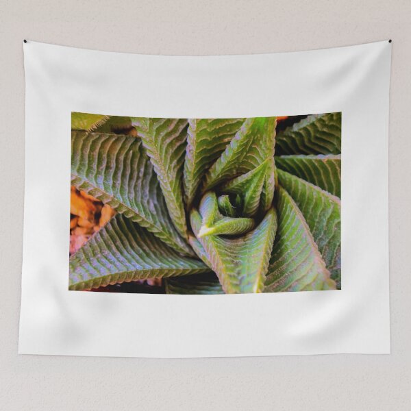Item preview, Close up of succulent abstract background designed and sold by Fenderbender00.