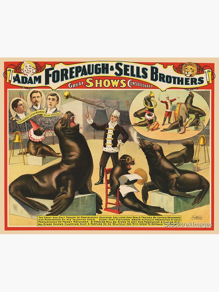 イギリス　vintage poster 【SHIRLEY FELTS】 ziegdec23ebay.jpg