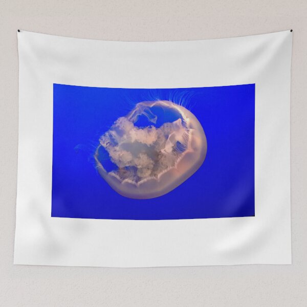 Item preview, jelly fish in the aquarium designed and sold by Fenderbender00.