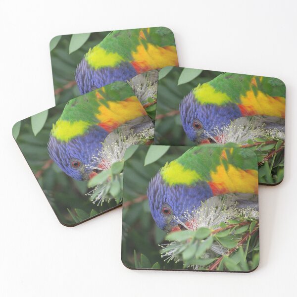 Item preview, Rainbow Lorikeet Feasting on Callistemon designed and sold by Linda Sijpkes.