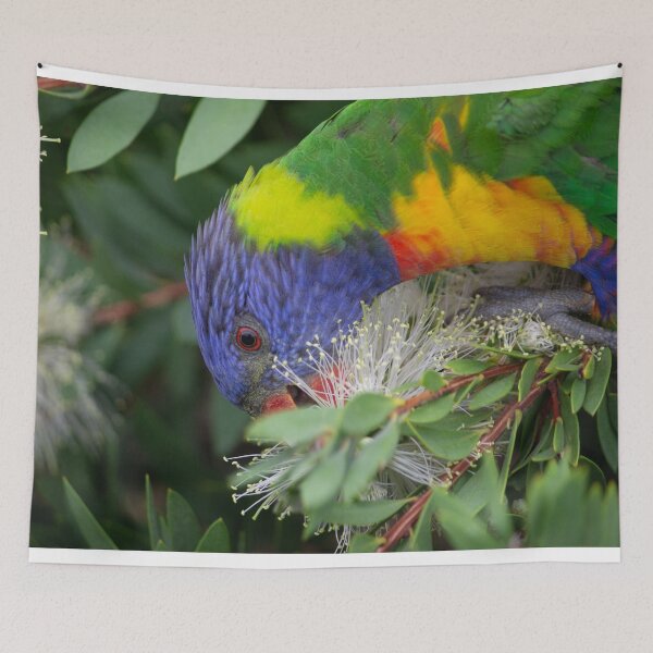 Item preview, Rainbow Lorikeet Feasting on Callistemon designed and sold by Linda Sijpkes.