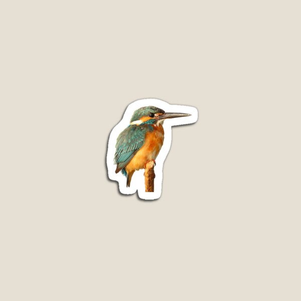 Item preview, Kingfisher designed and sold by SoftToyBlank.