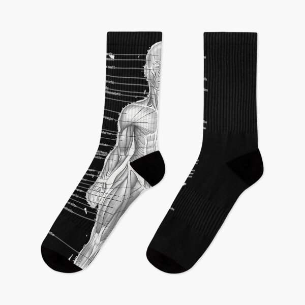 Item preview, Human Anatomy  .   	 designed and sold by kijaywensela.