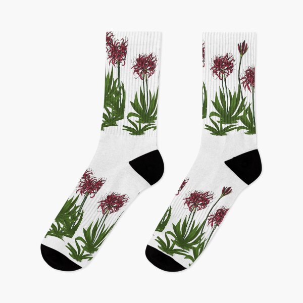 Item preview, Beautiful Gymea Lilies Flower Gan Gan Lookout Nelson Bay designed and sold by Reelyfishing.