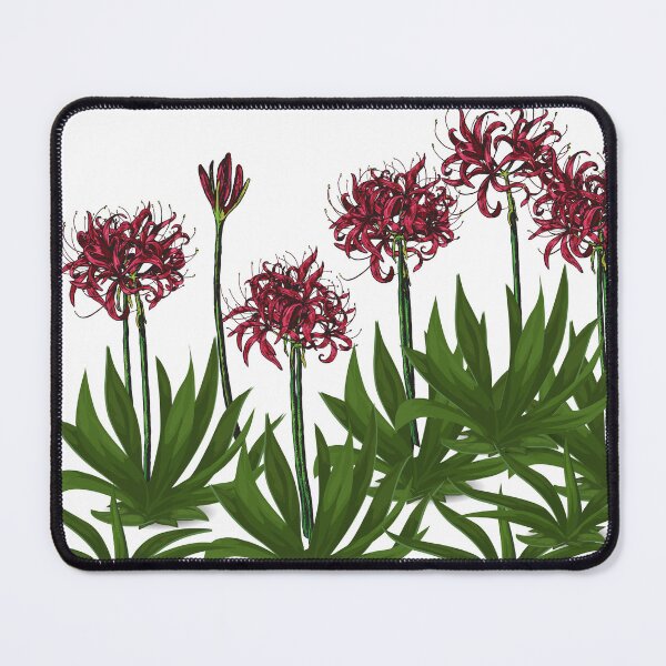 Item preview, Beautiful Gymea Lilies Flower Gan Gan Lookout Nelson Bay designed and sold by Reelyfishing.