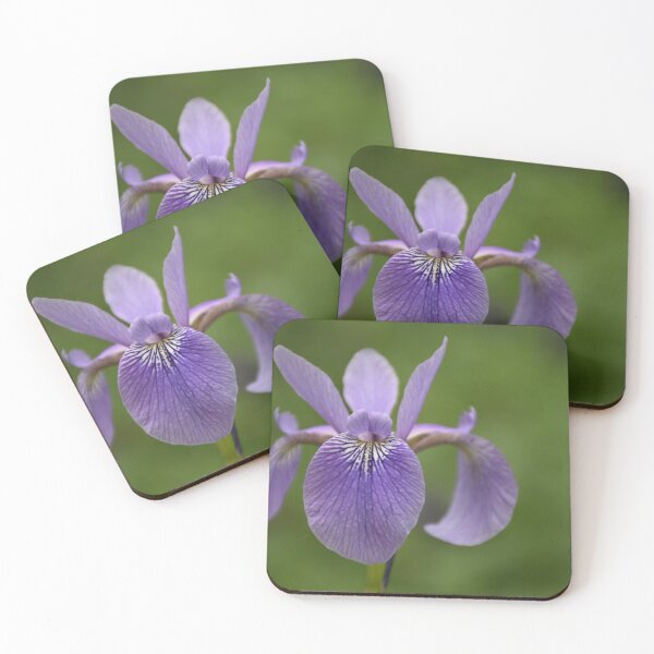 Item preview, An iris flower in the garden designed and sold by Claude Laprise.