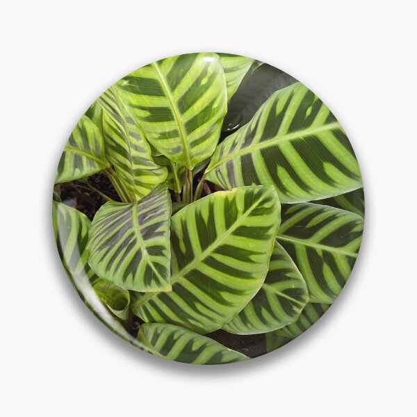 Item preview, Green on Green designed and sold by EmmelineKlatt.