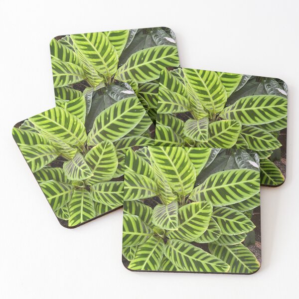 Item preview, Green on Green designed and sold by EmmelineKlatt.