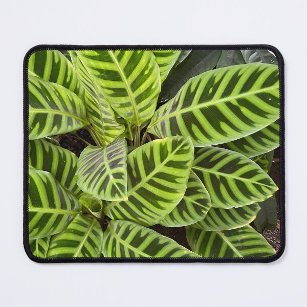 Item preview, Green on Green designed and sold by EmmelineKlatt.
