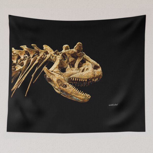 Item preview, Carnotaurus skull designed and sold by Weston  Westmoreland.