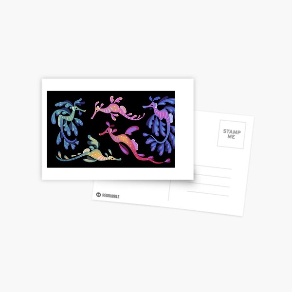Sea dragons Postcard