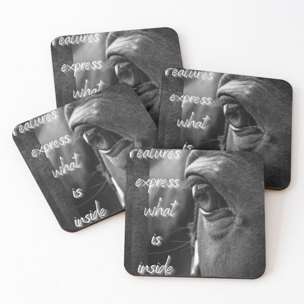 Item preview, Features express what is inside designed and sold by miraclelook.