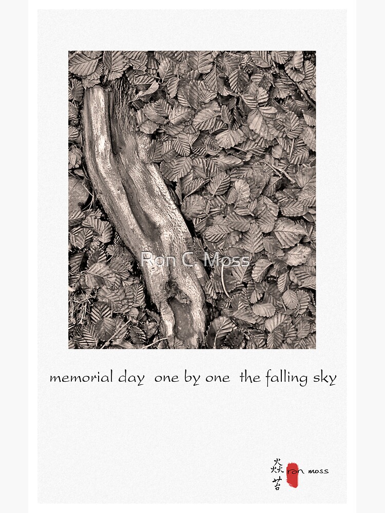 memorial day by ronmoss