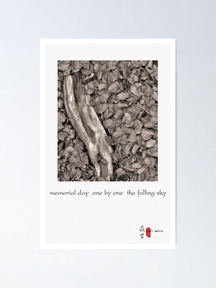 Alternate view of memorial day Poster