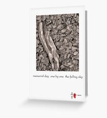 memorial day Greeting Card