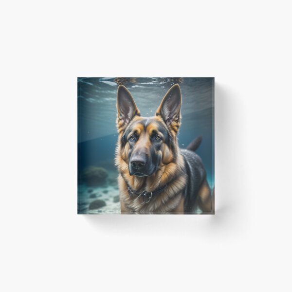 Item preview, German Shepherd Underwater designed and sold by GSDDESIGNMERCH.