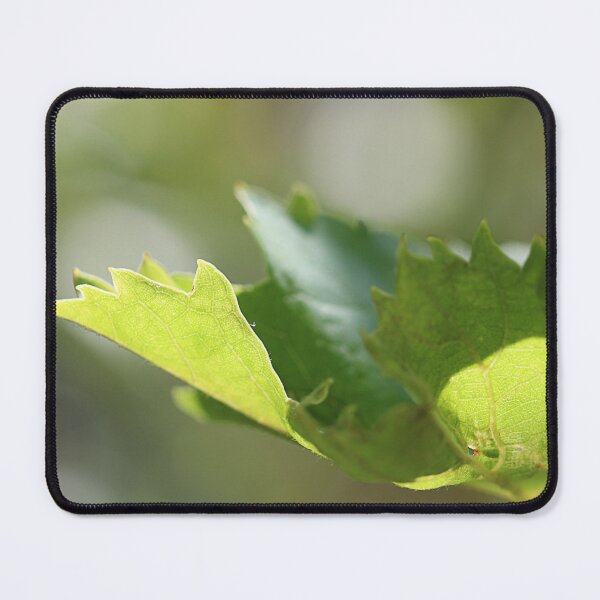 Item preview, Soft green. designed and sold by Paul Pasco.