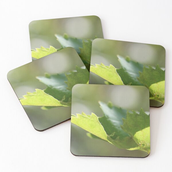Item preview, Soft green. designed and sold by Paul Pasco.
